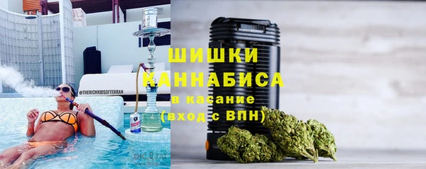 прущие грибы Алексин