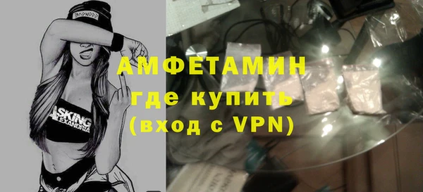 шишки Кодинск