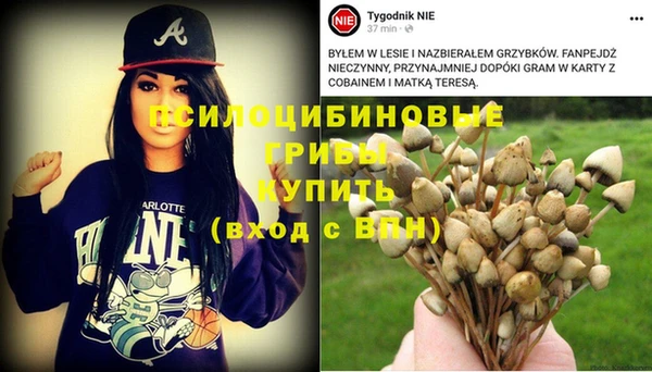 эйфоретик Алексеевка