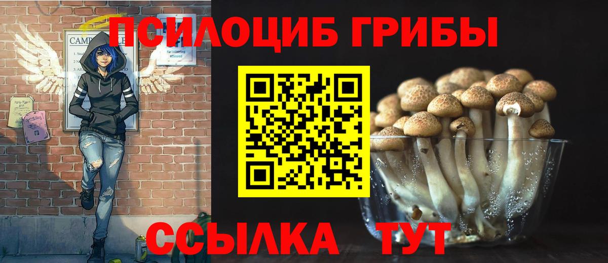 Галлюциногенные грибы мицелий Еманжелинск